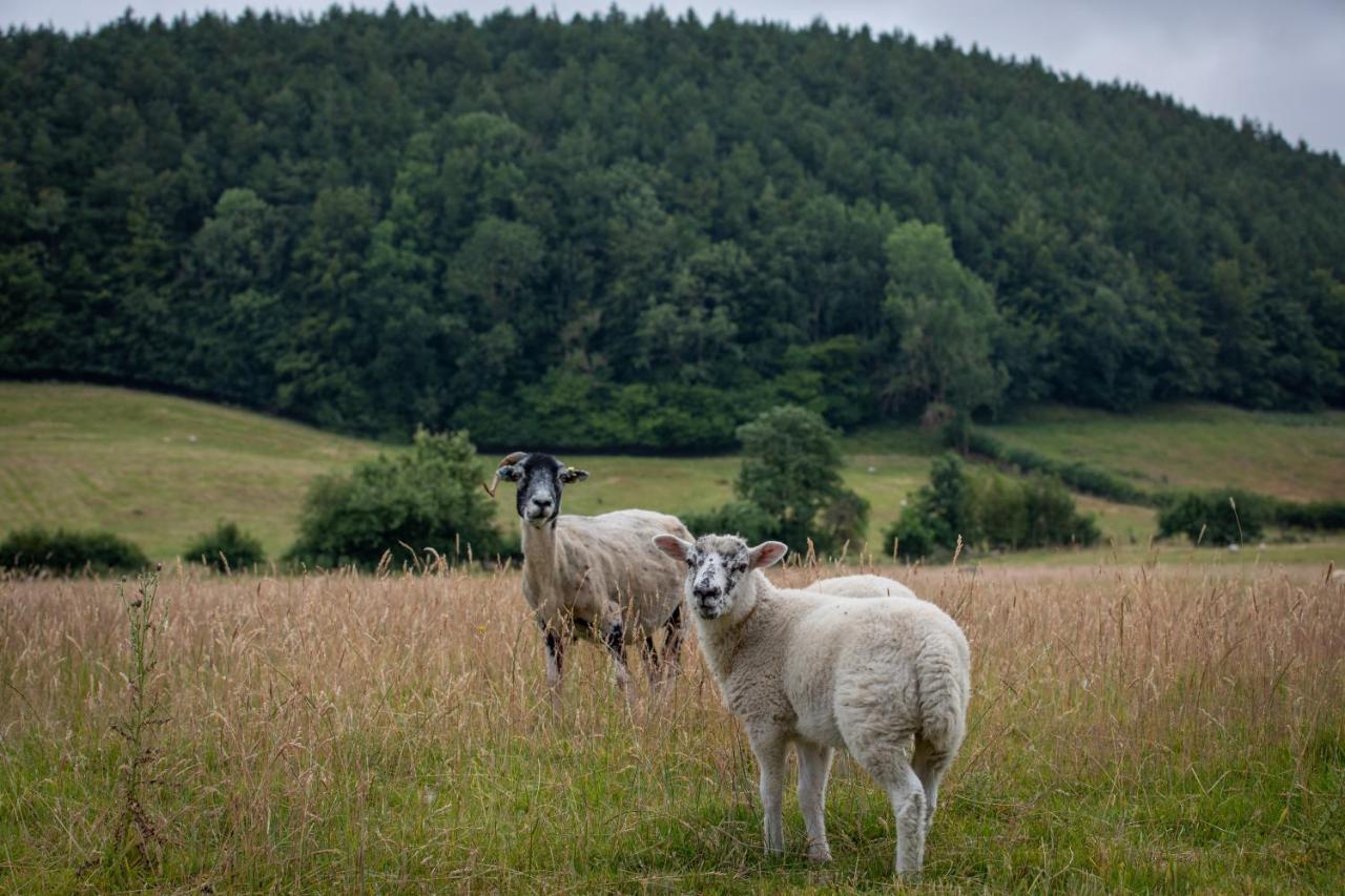 הוילה פיקרינג Rawcliffe House Farm מראה חיצוני תמונה