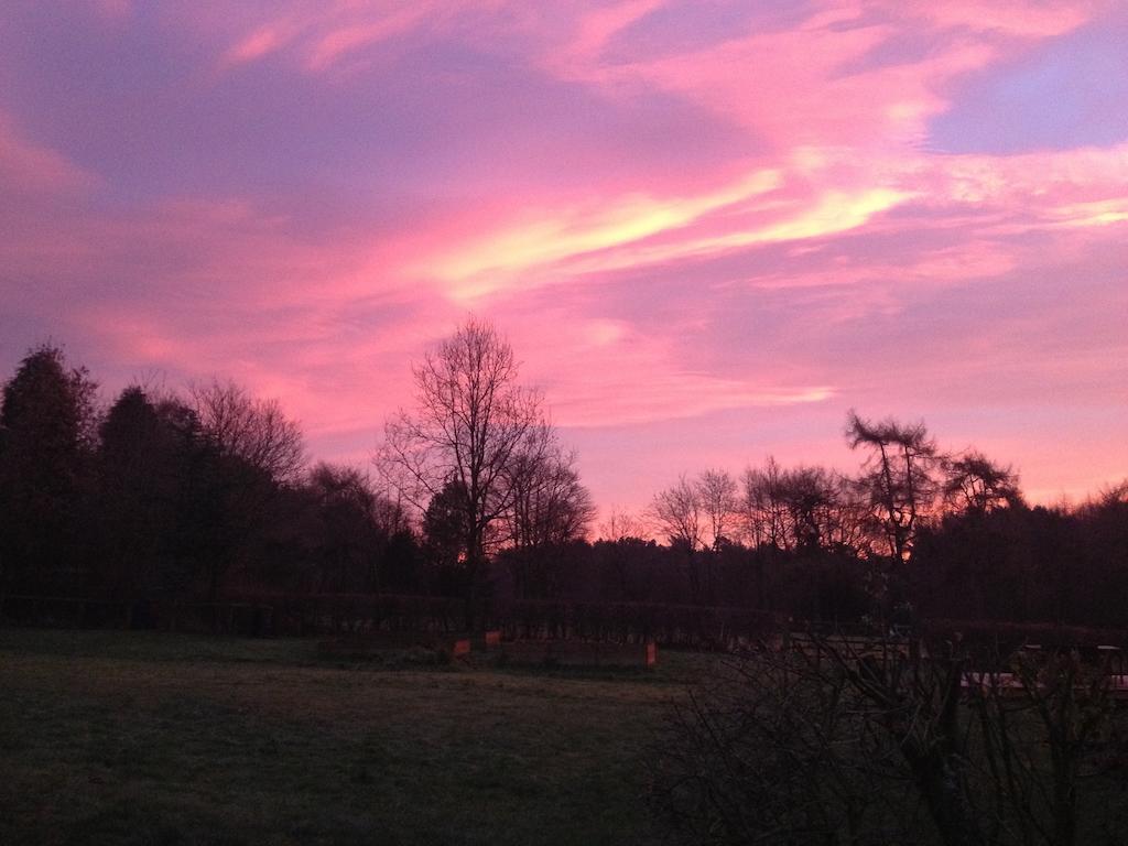 הוילה פיקרינג Rawcliffe House Farm מראה חיצוני תמונה