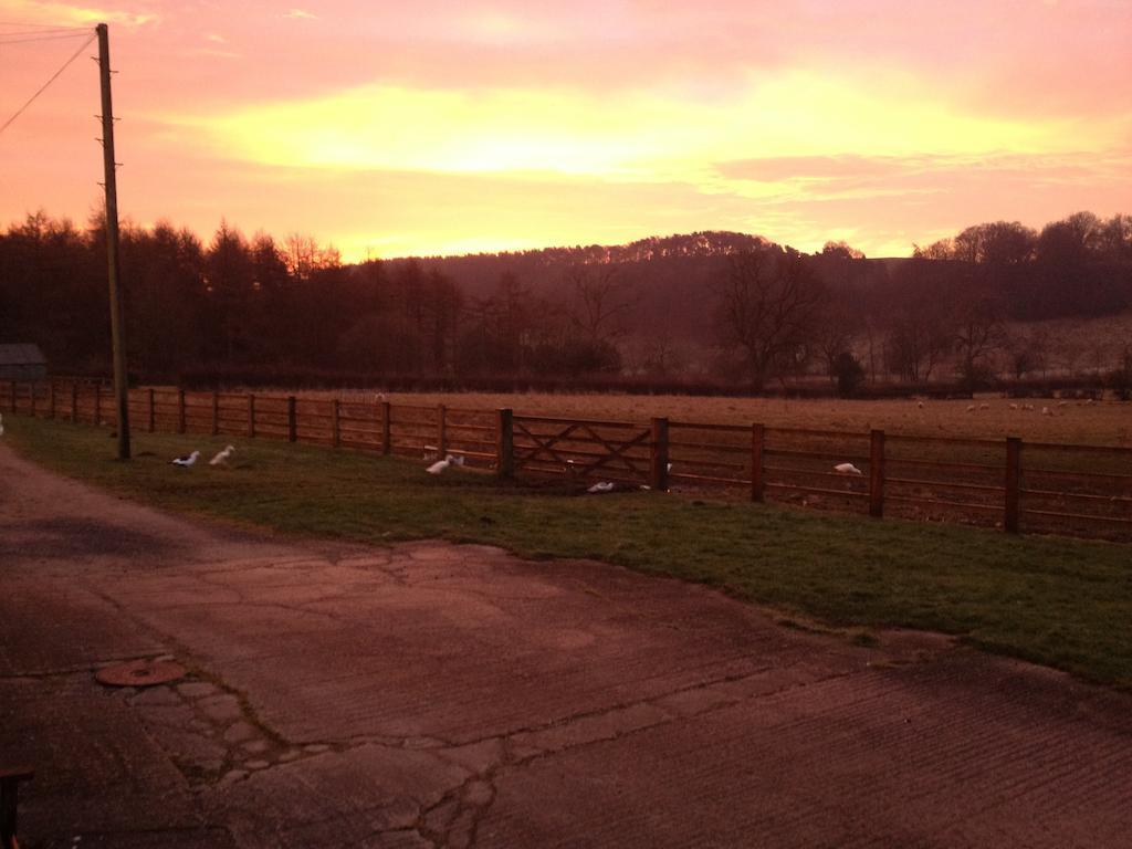הוילה פיקרינג Rawcliffe House Farm מראה חיצוני תמונה