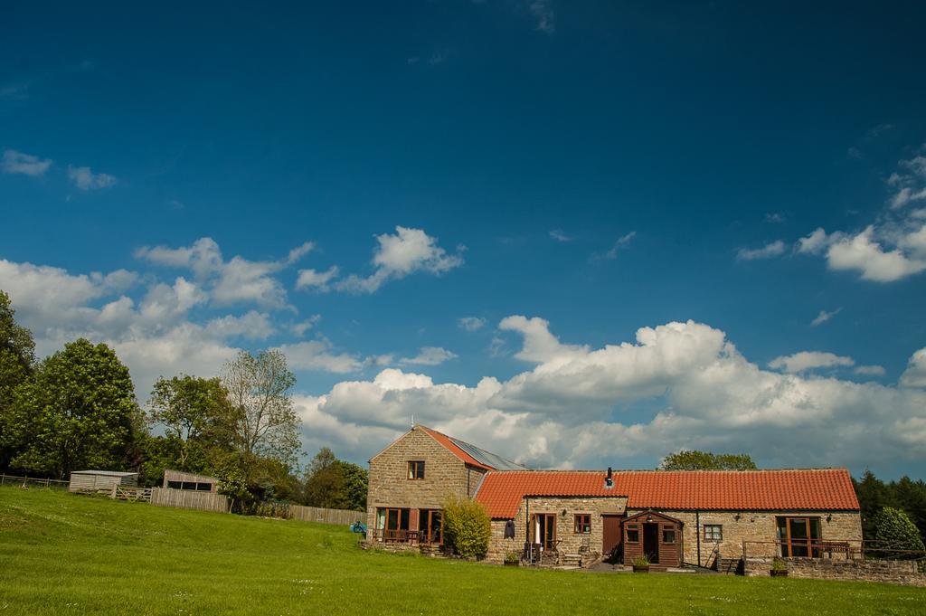 הוילה פיקרינג Rawcliffe House Farm מראה חיצוני תמונה