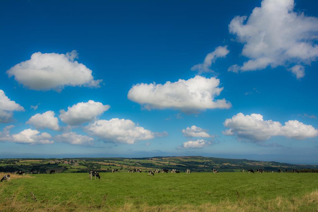 הוילה פיקרינג Rawcliffe House Farm מראה חיצוני תמונה